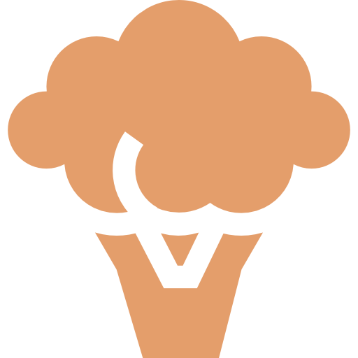 broccoli_35266656765
